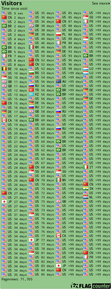 Flag Counter